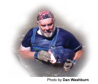catfish2.jpg