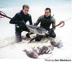 Dan Washburn's Sporting Life: Hawaii Spearfishing: To spear a fish, you  must act like one